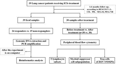 Exploring the relationship between intestinal microbiota and immune checkpoint inhibitors in the treatment of non-small cell lung cancer: insights from the “lung and large intestine stand in exterior-interior relationship” theory